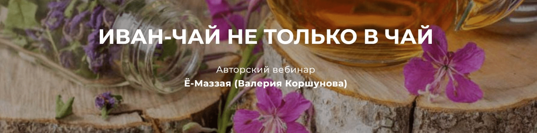 [Валерий Коршунов] Иван-чай не только в чай (2023)