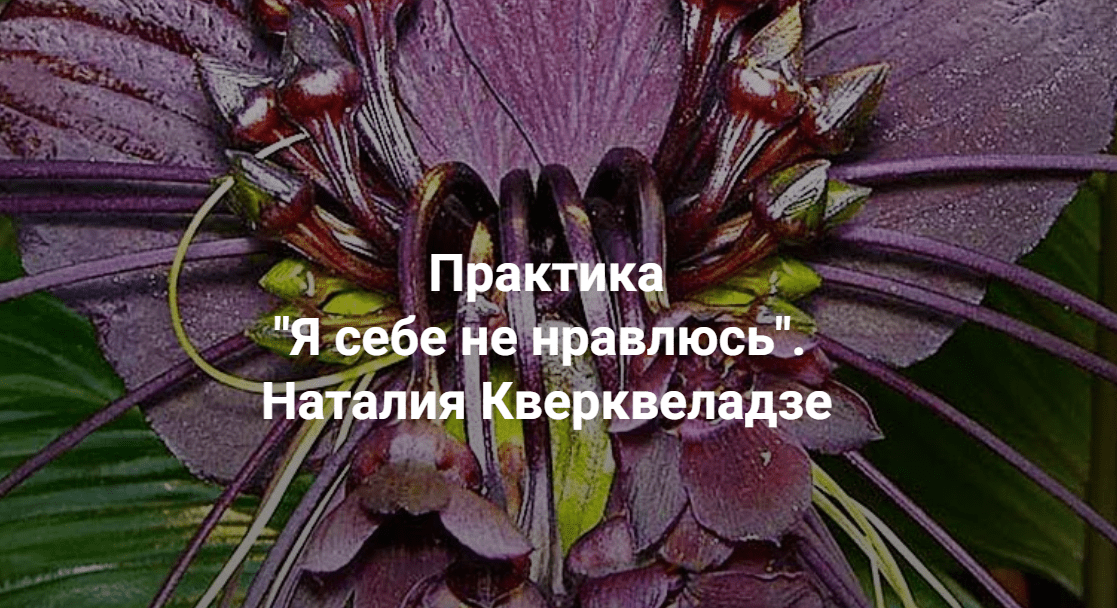[Центр Современных системных расстановок Елены Веселаго] Любимое дело (2023)