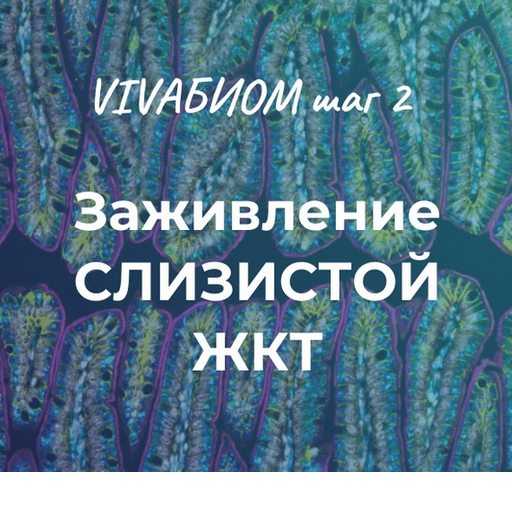 [Анна Кортунова] Vivabiom шаг 2: Заживление слизистой жкт (2023)