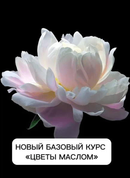 [Виталий Антипин] Цветы маслом (2023)
