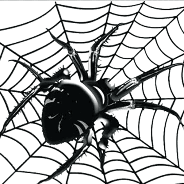 [Атлантида] Видеозаклинание Майянские пауки (2023)