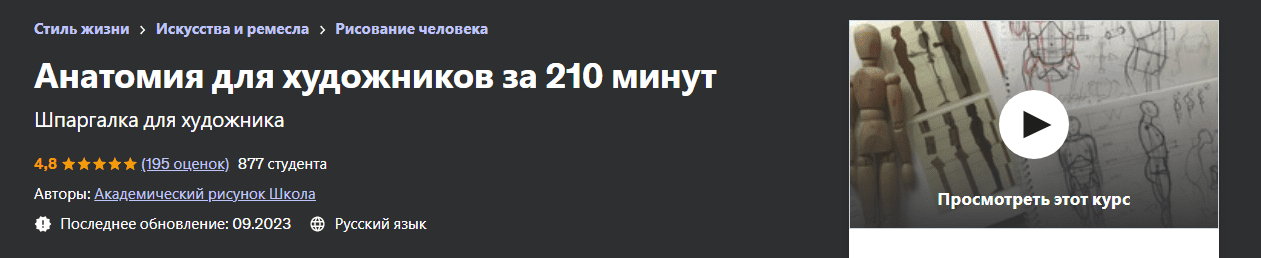 [Udemy] [Дарья Остапенко-Праведникова] Анатомия для художников за 210 минут (2023)