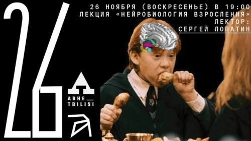 [Архэ] [Сергей Лопатин] Нейробиология взросления (2023)
