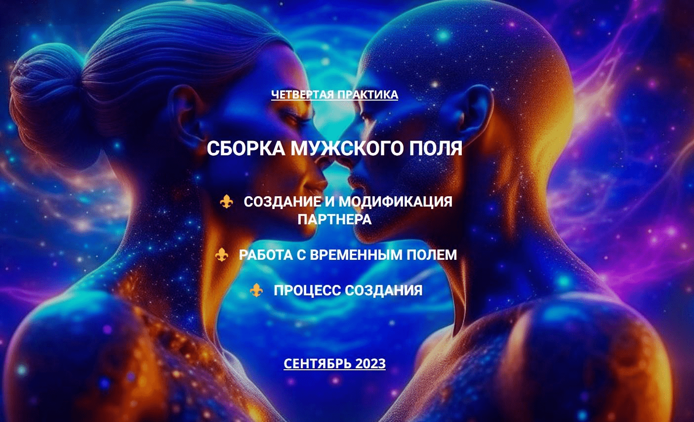[Эмилия Франк] Сборка мужского поля. Создание партнера. Работа с Временным Полем. (2023)