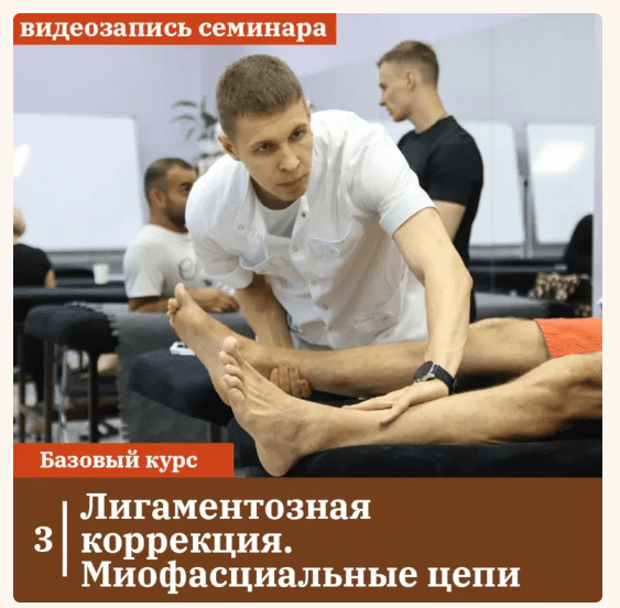 [Максимов А.Ю.] Лигаментозная коррекция. миофасциальные цепи (2023)