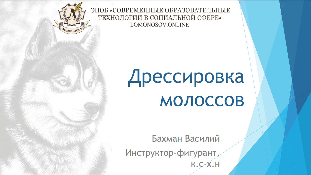 [Василий Бахман] Дрессировка Молоссов (2023)