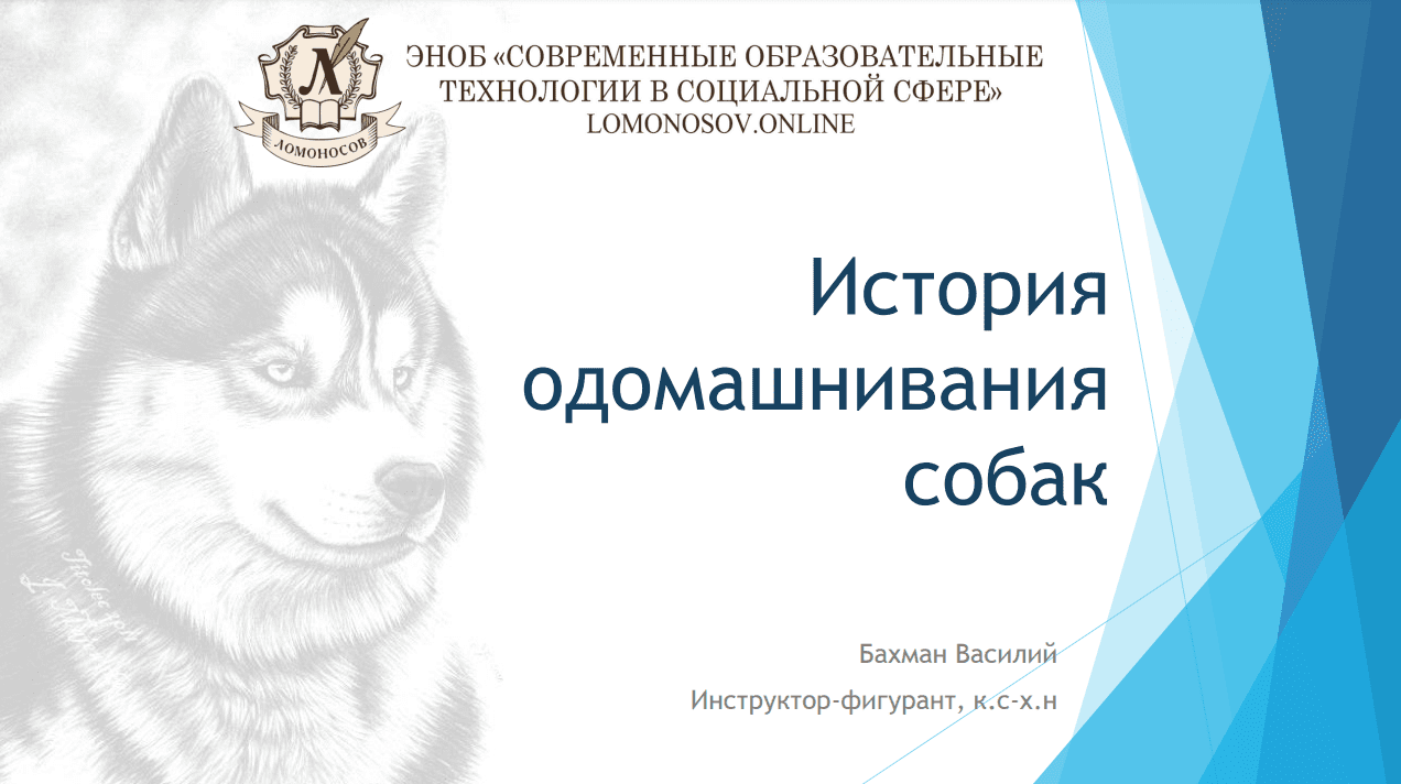 [Василий Бахман] История одомашнивания собак (2023)