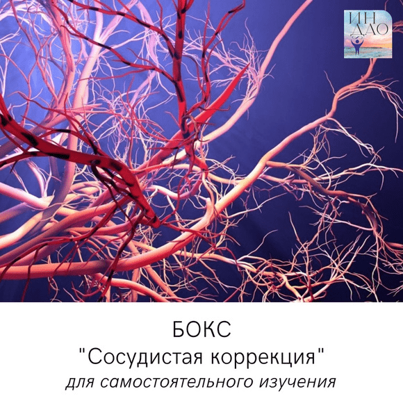 [Сергей Матюшкин] Бокс «Сосудистая коррекция» (2023)