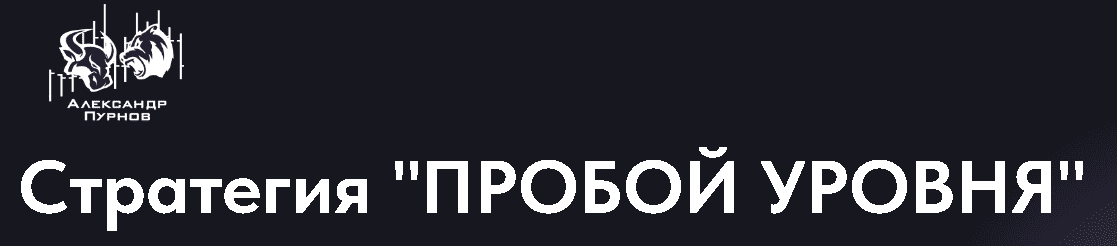[Александр Пурнов] Стратегия "Пробой уровня" (2024)