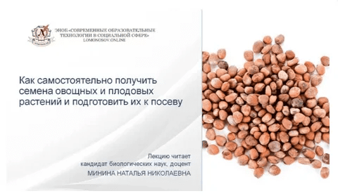 [Наталья Минина] Как самостоятельно получить семена овощных и плодовых растений и подготовить их к посеву (2024)
