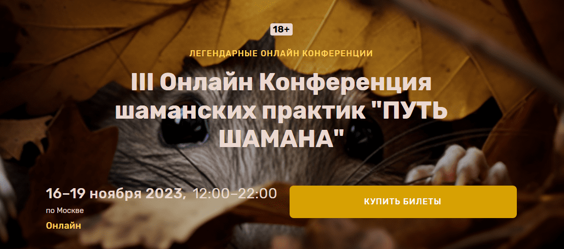 [Елена Веселаго] Шаманская позиция в нестабильном мире (2023)