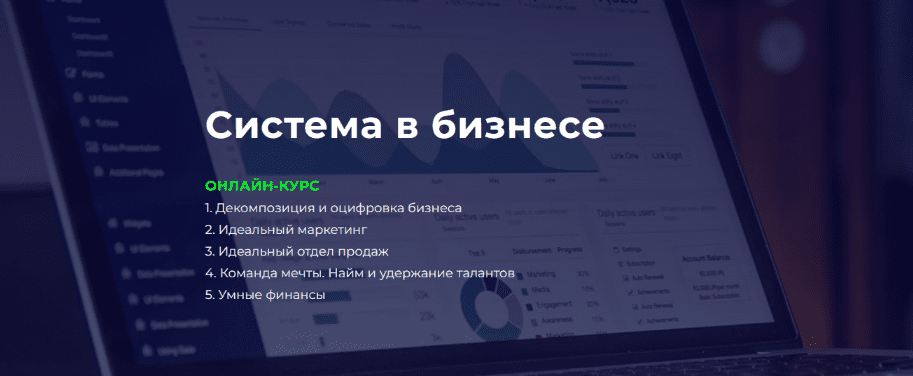[Денис Сергеев] Система в бизнесе (2024)