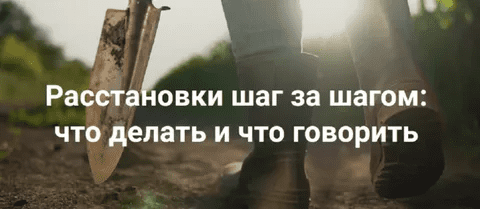 [Елена Веселаго] Расстановки шаг за шагом: что делать и что говорить. Без места расстановщика (2023)