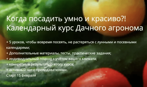 [Дачный агроном] Когда посадить умно и красиво?! Календарный курс (2023)