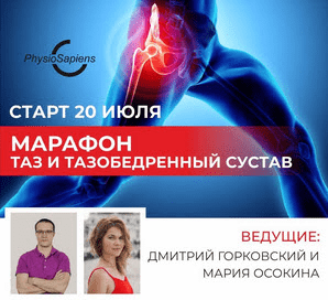 [Дмитрий Горковский, Мария Осокина] Таз и тазобедренный сустав (2020)