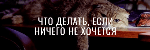 [b17] [Марина Радионова] Гайд «Что делать, когда ничего не хочется?» (2024)