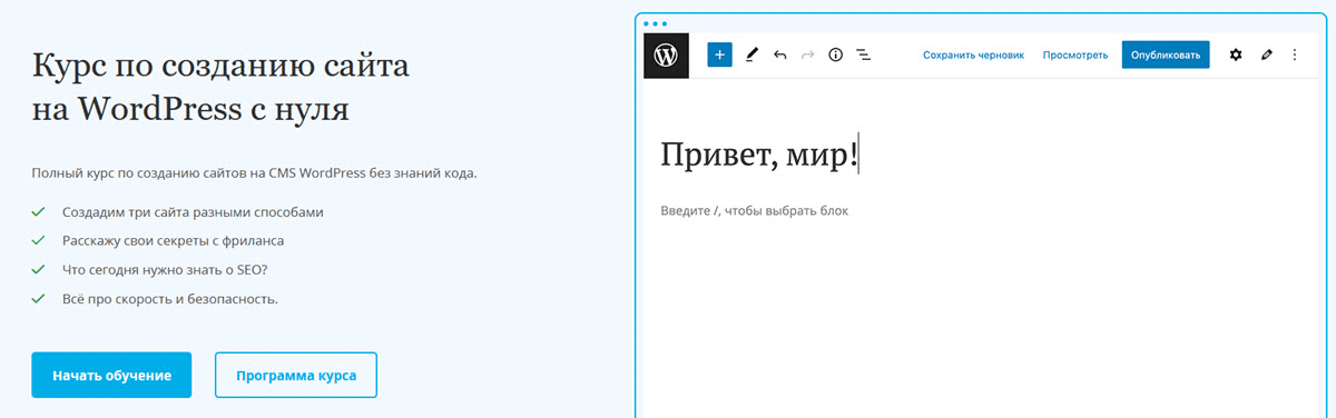 [Миша Рудрастых] Курс по созданию сайта на WordPress с нуля (2024)