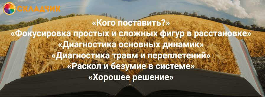 [Елена Веселаго] Чтение поля, диагностика и решения. Расстановки и полевая терапия (2024)