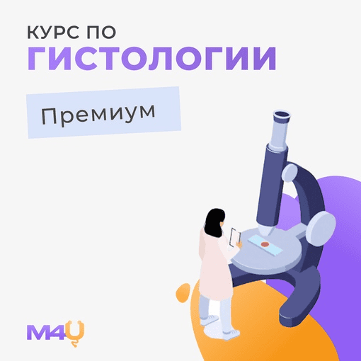 [Medforyou] Курс по гистологии (2024)