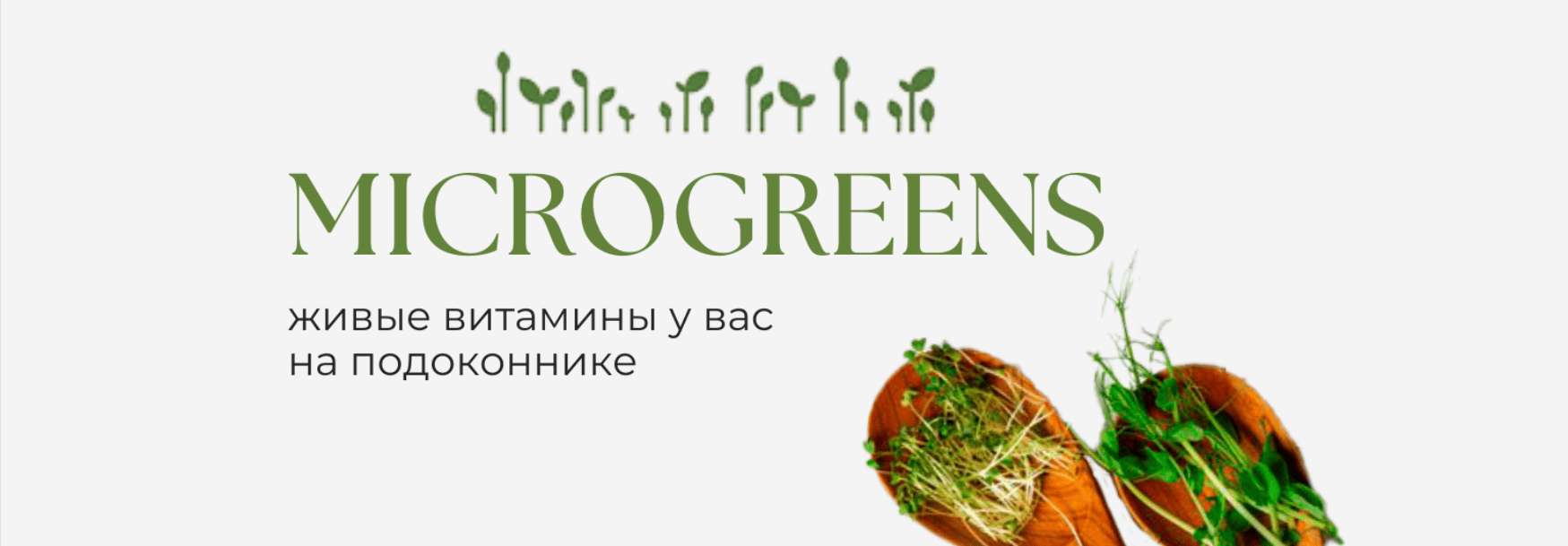 [Татьяна Иримчук] Учебное пособие по выращиванию микрозелени дома (2024)