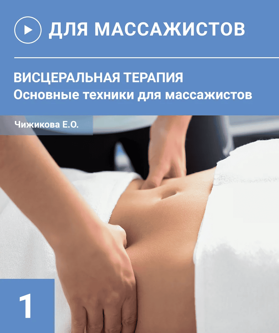 [Евгения Чижикова] Кинезиомассаж 5. Висцеральная терапия (основные техники) (2024)