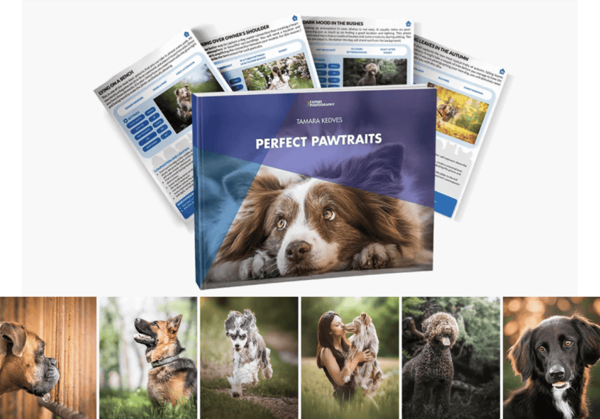 [Тамара Кедвес] Идеальные Pawtraits (2024)