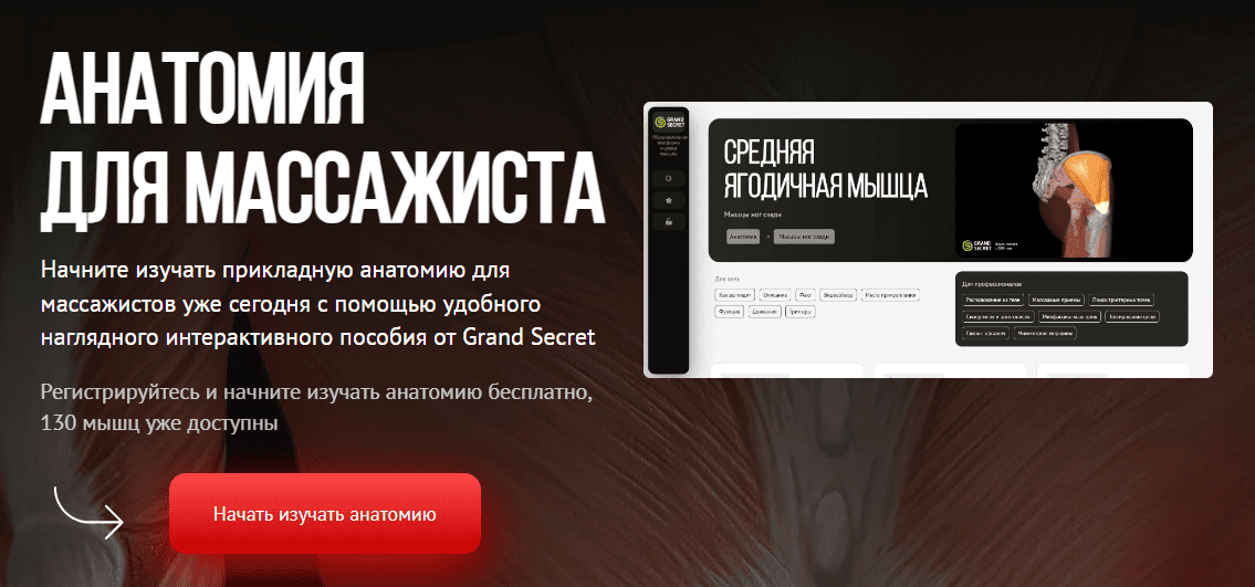 [Максим Волков] [Grand Secret] Анатомия для массажиста. Тариф Для профи (2024)