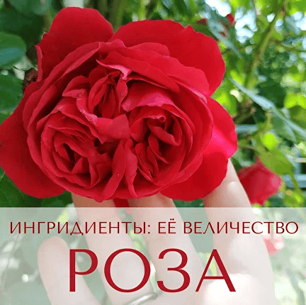 [Анна Зворыкина] Ингридиенты - её величество Роза! (2024)