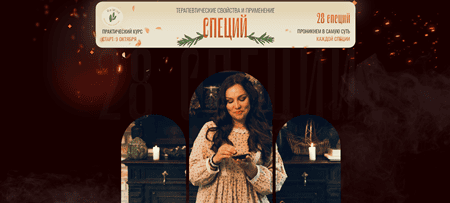 [Школа долголетия ReWild] [Елена Орлова]  Специи - терапевтические свойства и применение (2024)