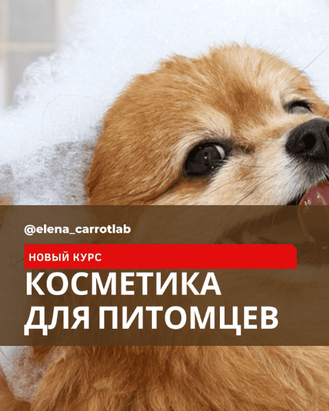 [Елена Золотухина] [Косметика] Косметика для питомцев (2024)