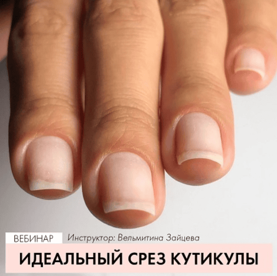 [Вельмитина Зайцева] Вебинар «Идеальный срез кутикулы»