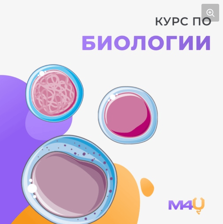 [Medforyou - школа медицины] Курс по биологии (2024)