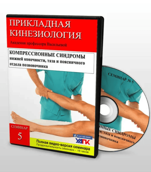 [Волынкин Н.А.] Основной курс Прикладной кинезиологии (2020)