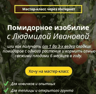 [Людмила Иванова] Помидорное изобилие (2021)