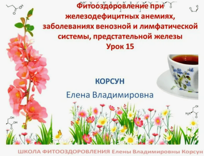 [Елена Корсун] Фитооздоровление при железодефицитных анемиях, заболеваниях венозной и лимфатической системы, предстательной железы