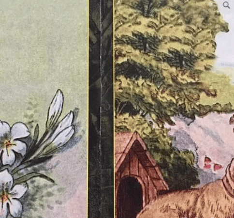 [Ленорман] Все 12 обучающих курсов (Колена)