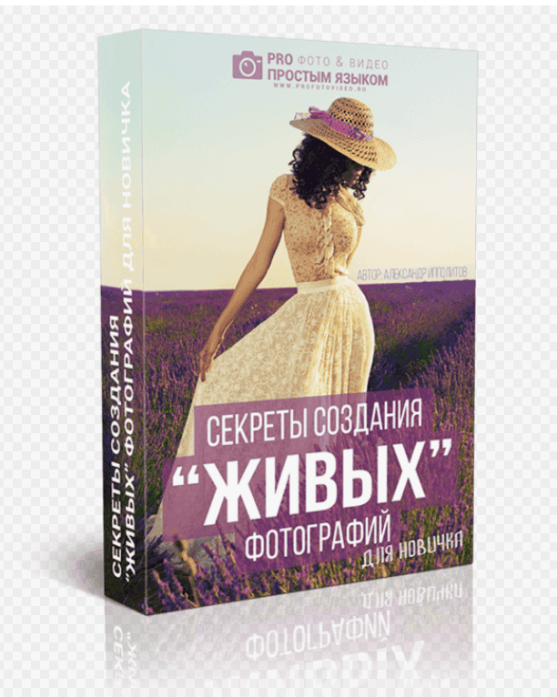 [Александр Ипполитов] Секреты создания живых фотографий для новичка (2018)