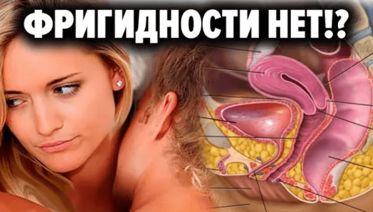 [Aлексей Тимофеев] Фригидная нимфоманка или женская сексуальность глазами мужчин (2013)