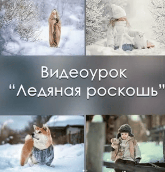 [Arma Gray] Ледяная роскошь (2018)