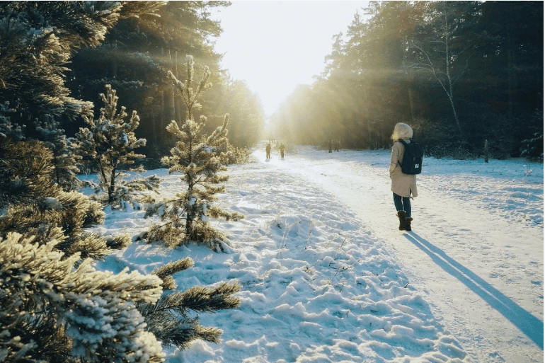 [Anti.photograph] Прогулка на морозе (2018)