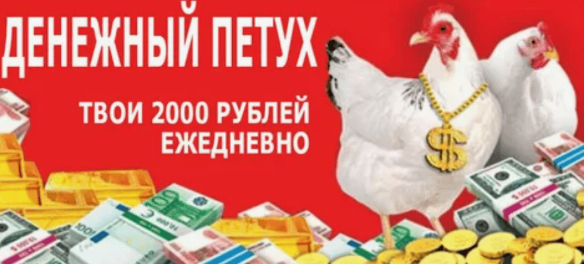 Денежный петух. От 2000 рублей в день