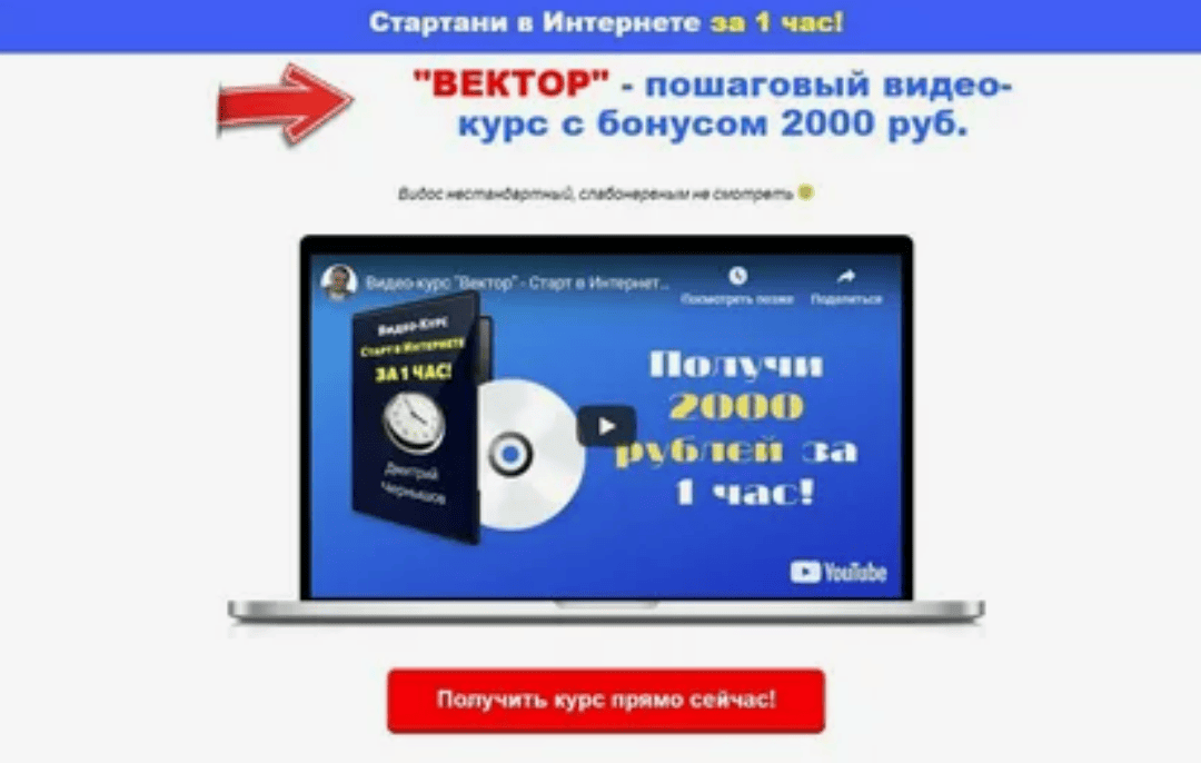[Дмитрий Чернышов] "ВЕКТОР" - пошаговый видео-курс с бонусом 2000 руб (2019)