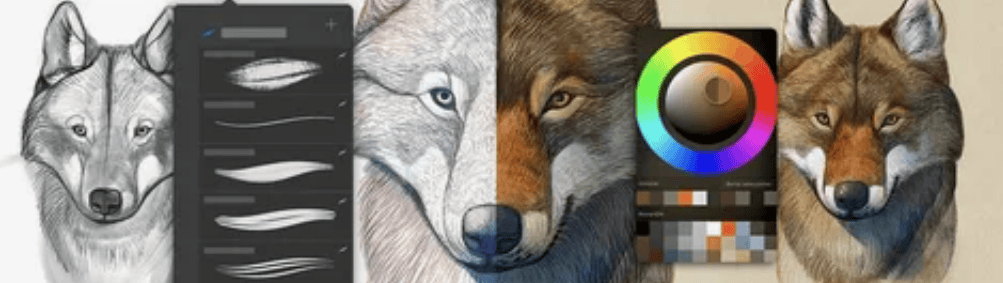 [Domestika] Иллюстрации животных в Procreate (2020)