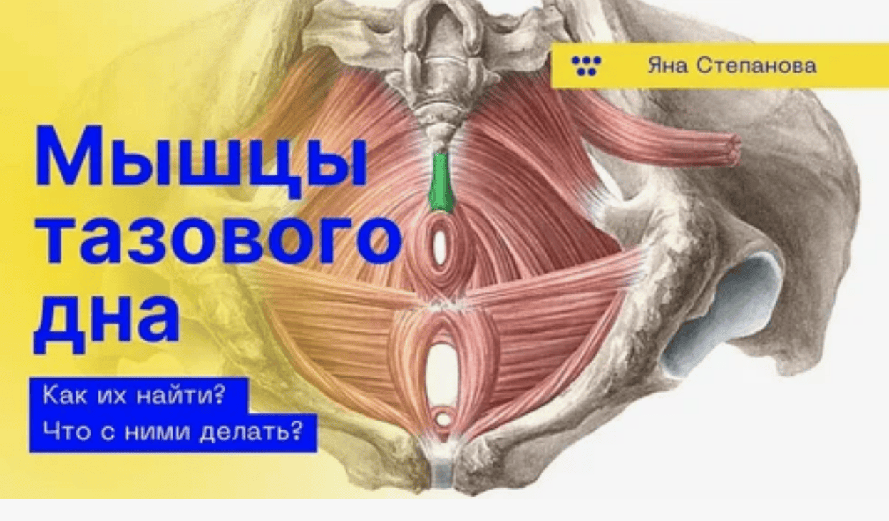 [Екатерина Любимова] Мышцы тазового дна 2018