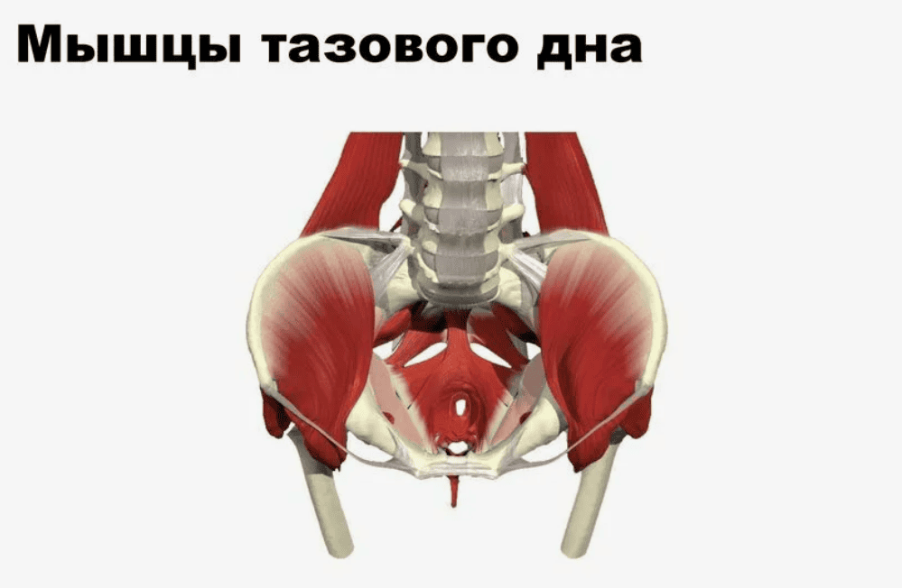 [Екатерина Любимова] Оргазм, сжимая ноги (2017)
