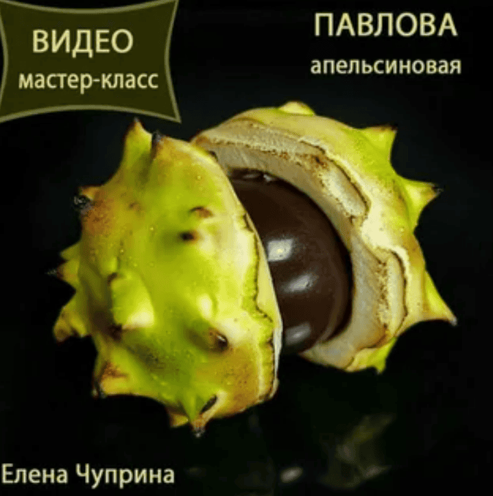 [Елена Чуприна] Апельсиновая Павлова