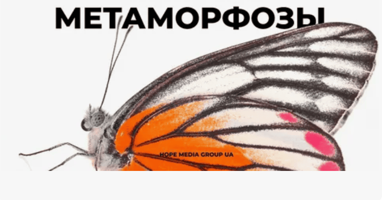 [Бизнес Молодость] Метаморфозы (Все модули)