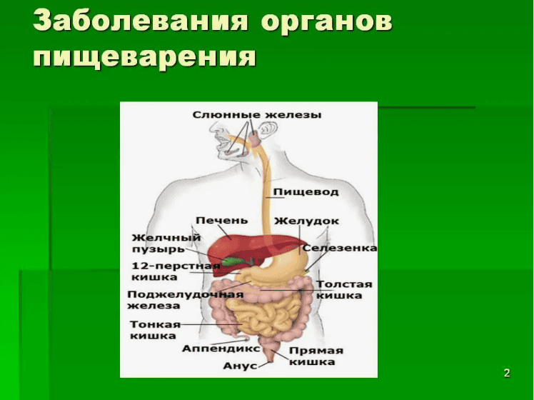 [Боровикова Лада Викторовна] Орган чувств – вкус. Заболевания органов пищеварения. Лечение методами ТКМ (2017)