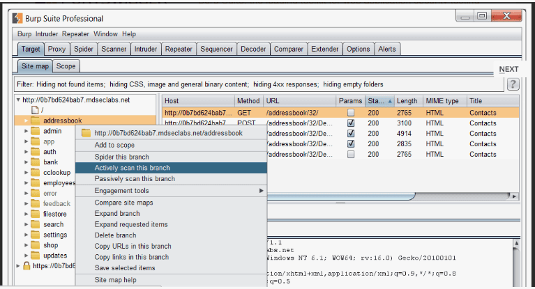 Burp Suite Pro 1.7.17 - проведение аудита веб-приложения