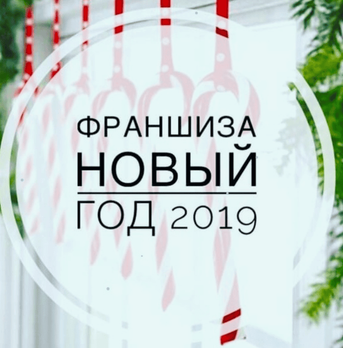Франшиза "НОВЫЙ ГОД 2019" + Именные Сказки